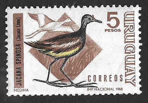 755 - Jacana Centroamericana