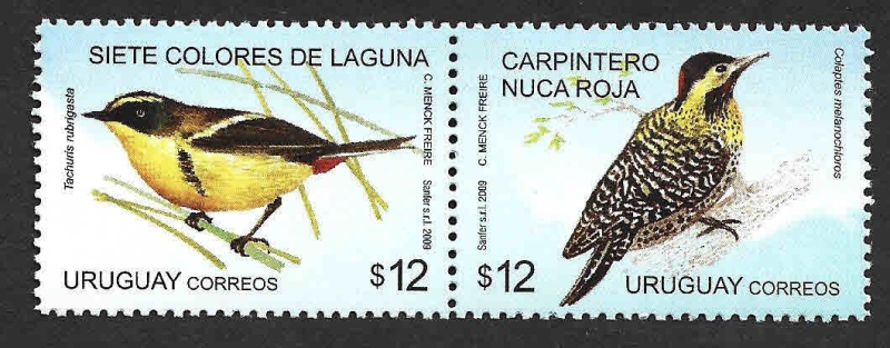 2273cd - Sietecolores de Laguna y Carpintero Real