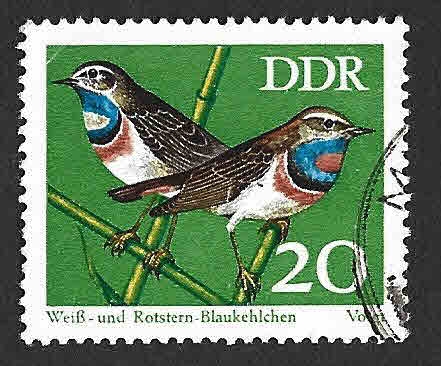 1456 - Pechiazul DDR