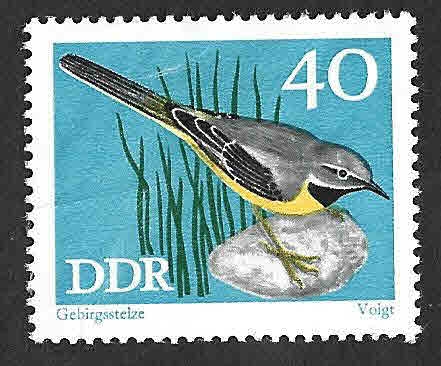 1459 - Lavandera Cascadeña DDR