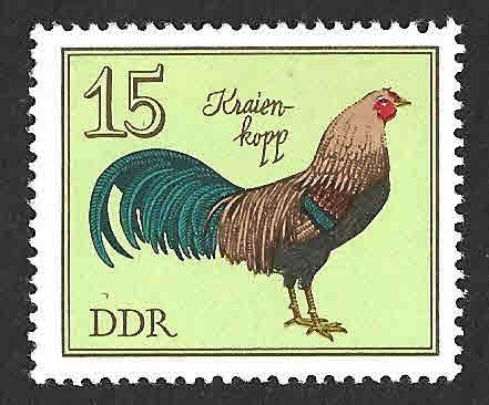 1983 - Kraienkopp DDR