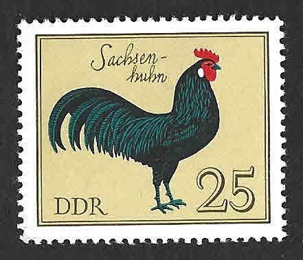 1985 - Gallo Sajón DDR