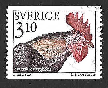 2054 - Gallo Enano Sueco