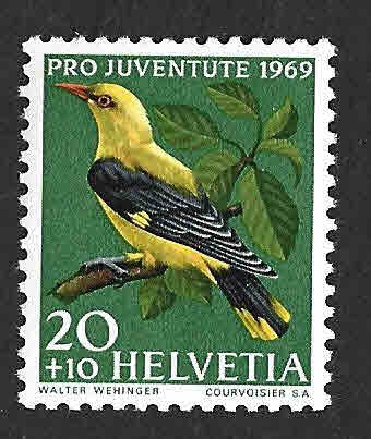 B389 - Oropéndola Europea