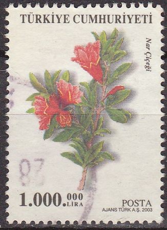 TURQUIA Turkia 2003 Scott 2863 Sello Serie Flora Granada Nar Cicegi usado