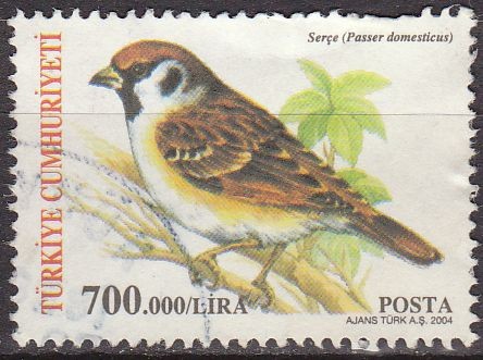 TURQUIA Turkia 2004 Scott 2893 Sello Serie Fauna Pajaro comun Passer domesticus usado