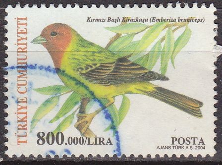 TURQUIA Turkia 2004 Scott 2894 Sello Serie Fauna Pajaro Emberiza bruniceps usado