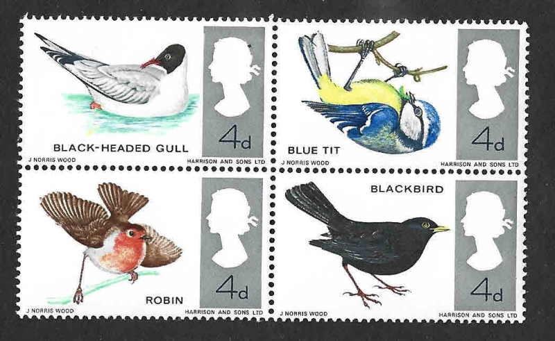 464a - Aves del Reino Unido