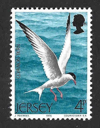 129 - Charrán (JERSEY)