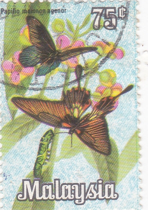 Mariposas