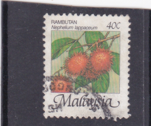 FRUTA- Rambután