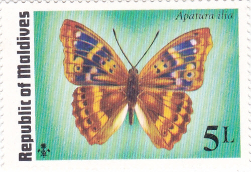 Mariposa