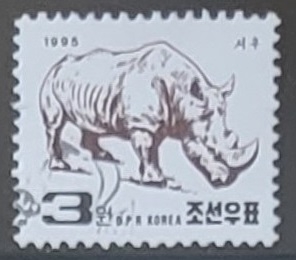 Animales - White Rhinoceros