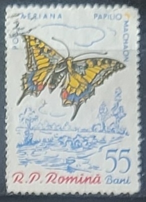 Mariposas - Papilio machaon