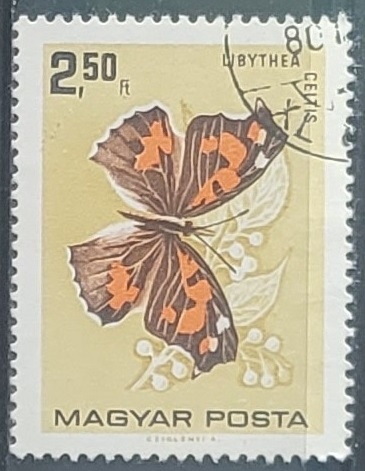 Mariposas - Libythea celtis