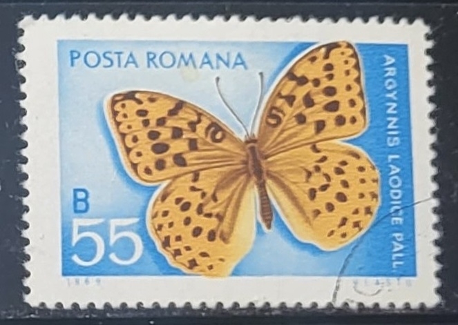 Mariposas - Argynnis laodice