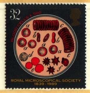 serie- 150 aniv. Real Asociación Microscopio