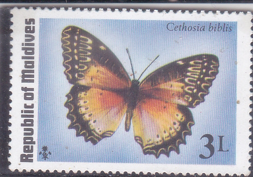 Mariposa