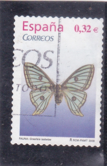 Mariposa (49)