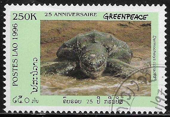 Fauna - Dermochelys coriacea