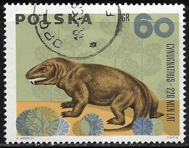Animales prehistoricos - Cynognathus
