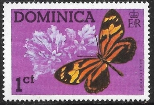 Mariposas - Lycorea ceres