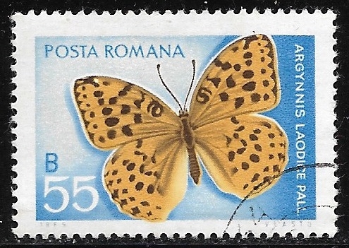 Mariposas - Argynnis laodice