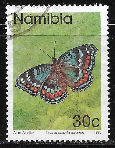 mariposas - Junonia octavia sesamus