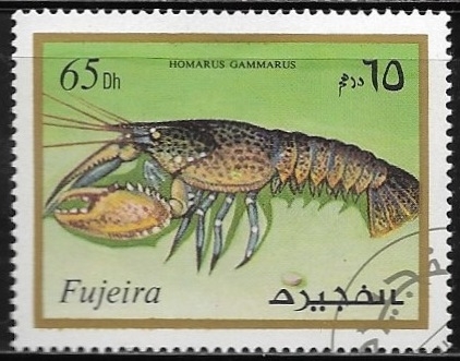 Vida marina - Homarus gammarus