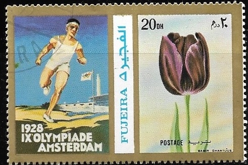 Juegos Olimpicos Amsterdam 1928