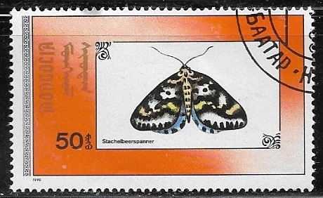 Mari`posas - Magpie Moth