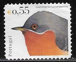 aves - Curruca iberiae