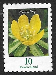 Flores - Winter Aconite