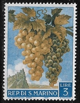 Fruta - Uvas