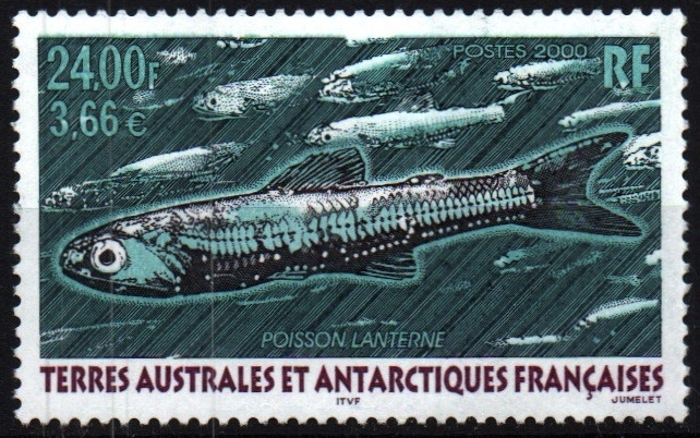 Fauna antartica