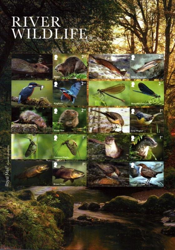Fauna de río
