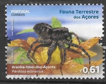 arañas