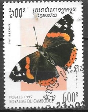 mariposas