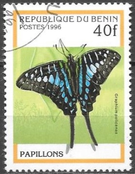 mariposas