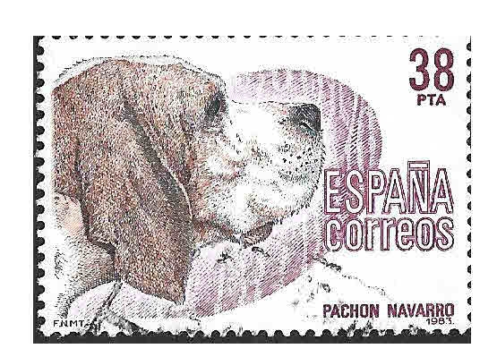 Edif2714 - Pachón Navarro