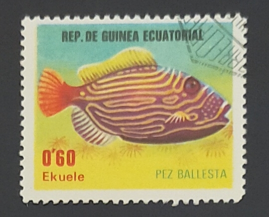 Orange-lined Triggerfish (Balistapus undulatus)