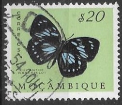 mariposas