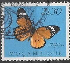 mariposas