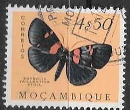 mariposas