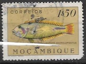 peces