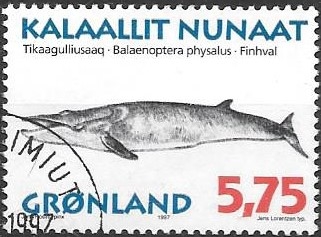 BALLENAS