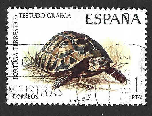 Edif2192 - Tortuga Terrestre