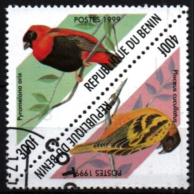serie- Pájaros de Benin