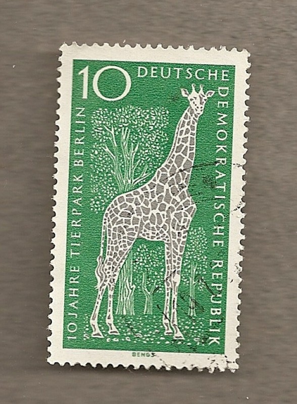 Girafa del zoo de Berlín