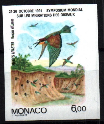 serie- Simposium Mundial sobre migración de las aves